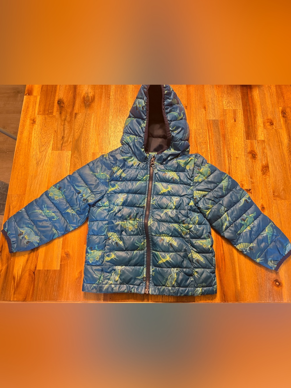 jumping beans Blue Dinosaur Puffer Jacket with Hood
